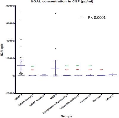 Measurement of Neutrophil Gelatinase-Associated Lipocalin Concentration in Canine Cerebrospinal Fluid and Serum and Its Involvement in Neuroinflammation